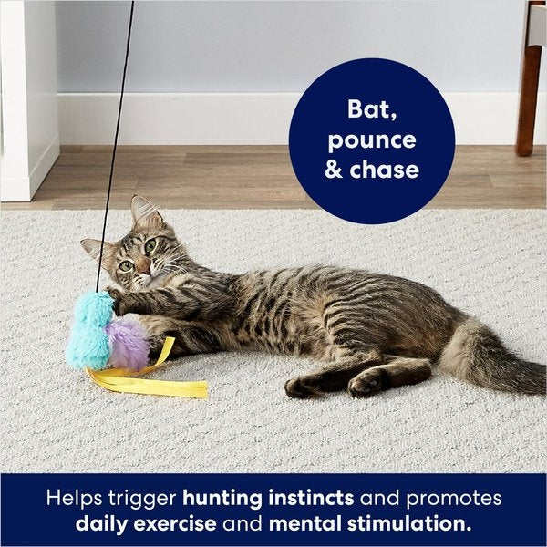 Frisco Bird with Feathers Teaser Wand Cat Toy with Catnip