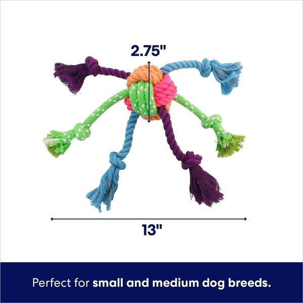 Frisco Fetch Colorful Ball Knot Rope Dog Toy