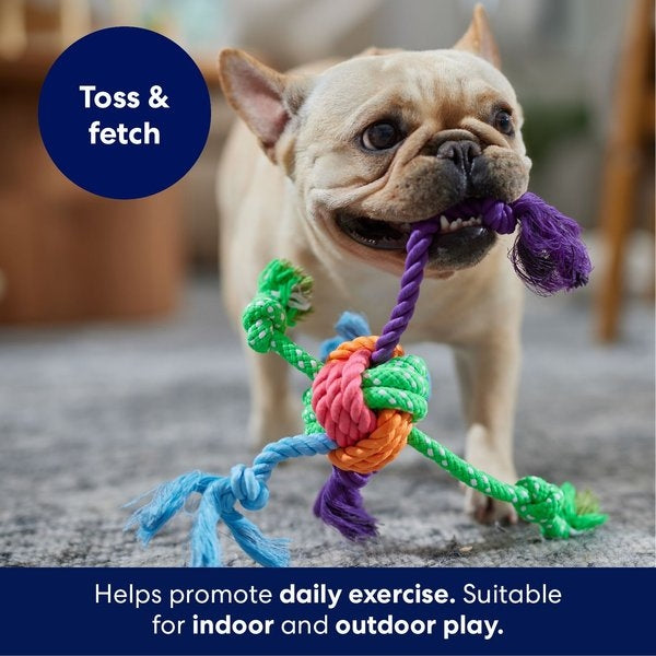 Frisco Fetch Colorful Ball Knot Rope Dog Toy
