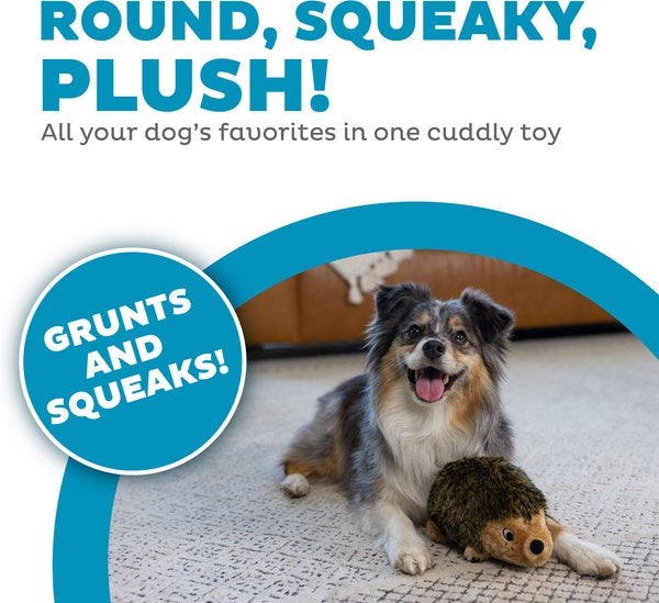 Outward Hound HedgehogZ Squeaky Plush Dog Toy