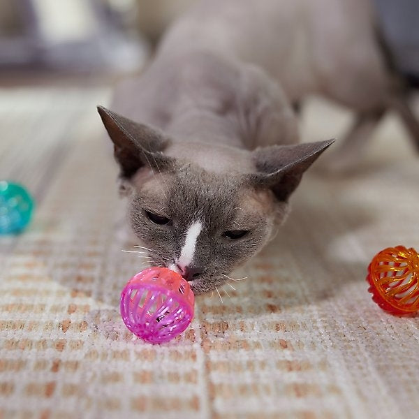 Turbo Lattice Ball Cat Toy