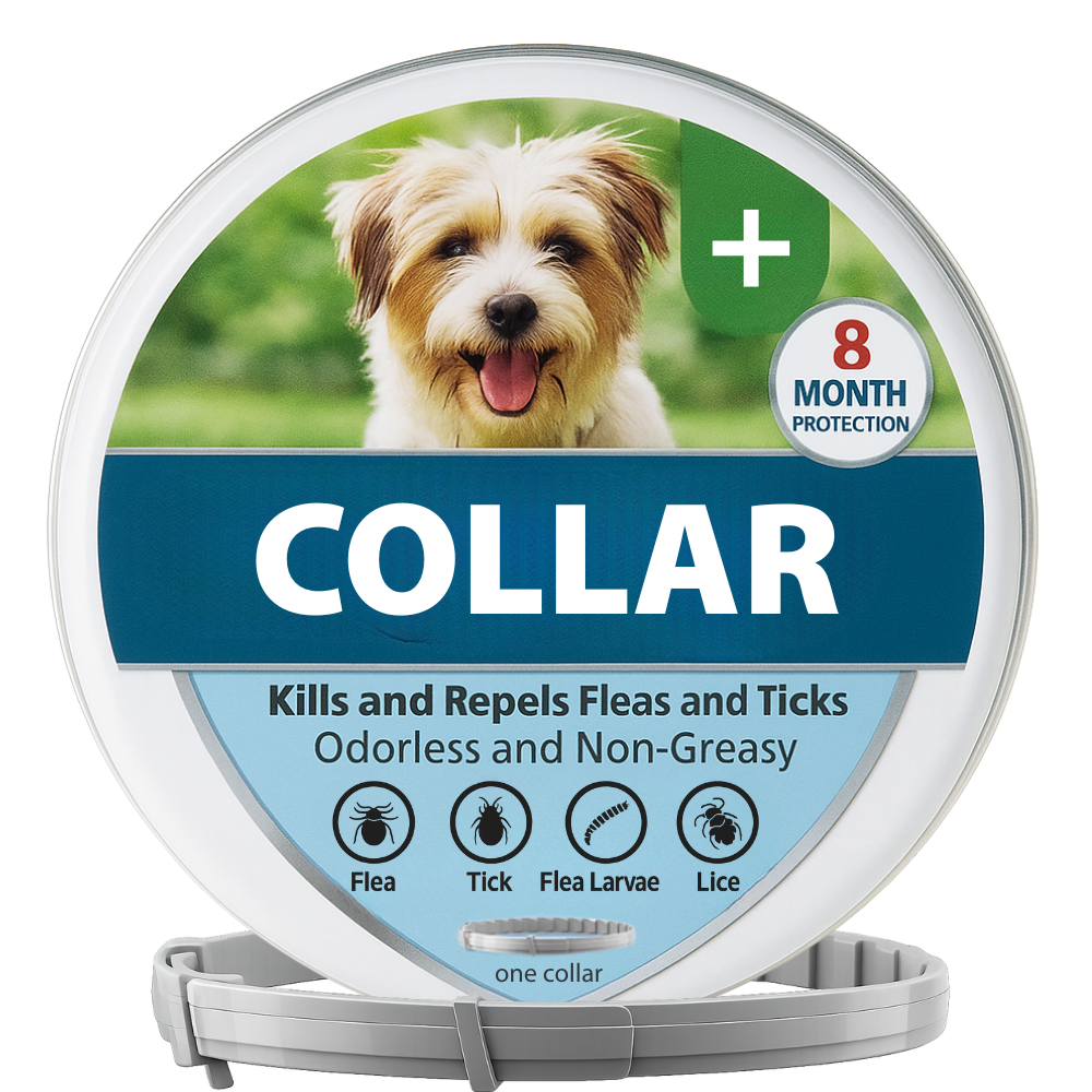 Collar para perro pequeño