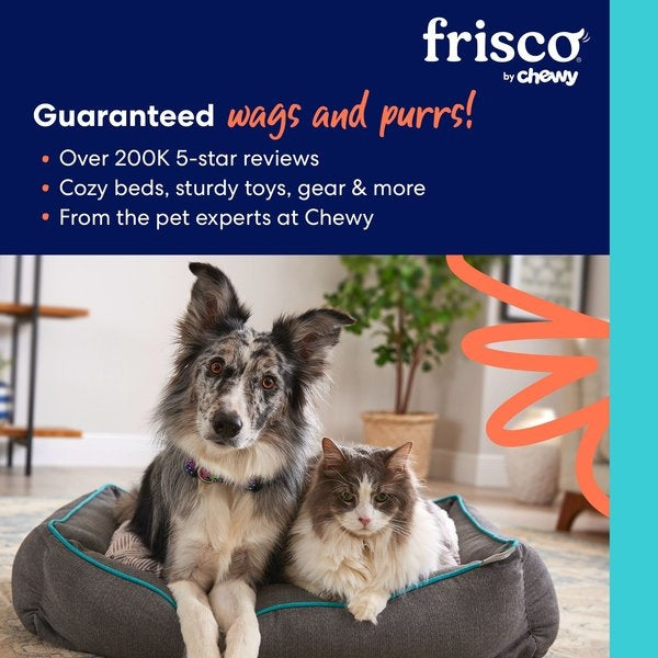 Frisco Fetch Colorful Ball Knot Rope Dog Toy