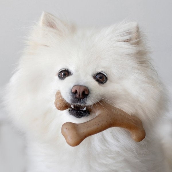 Benebone Bacon Flavor Wishbone Tough Dog Chew Toy