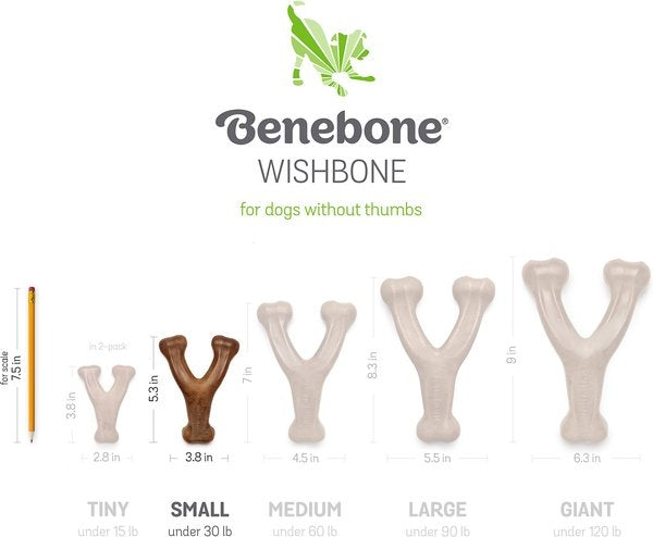 Benebone Bacon Flavor Wishbone Tough Dog Chew Toy