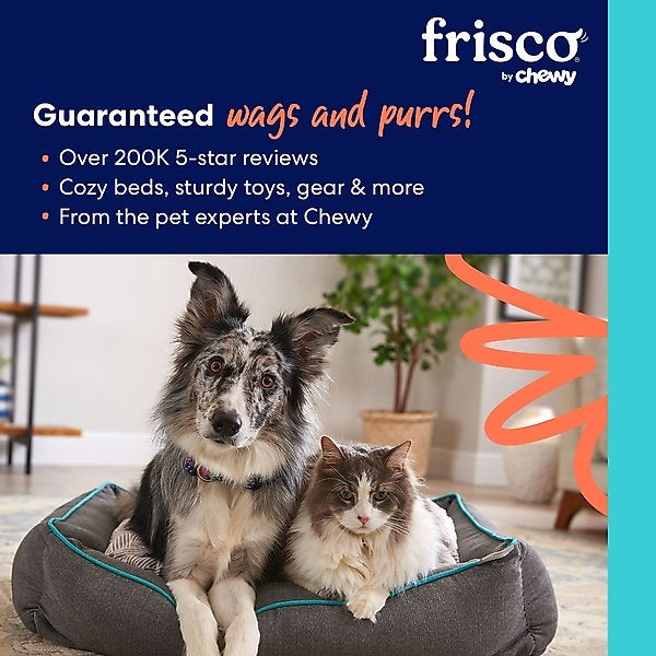 Frisco Colorful Springs Cat Toy