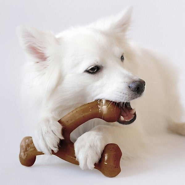 Benebone Bacon Flavor Wishbone Tough Dog Chew Toy