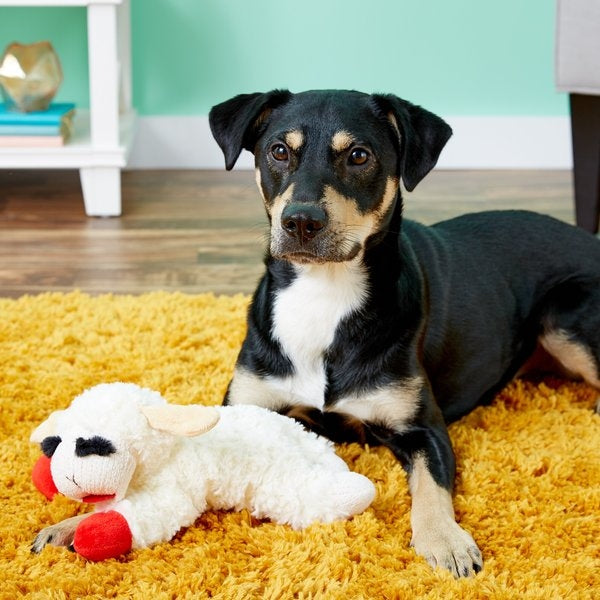 Multipet Lamb Chop Squeaky Plush Dog Toy, Regular
